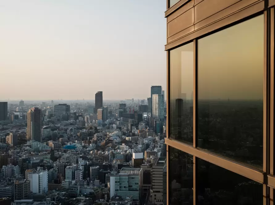 Branch or Subsidiary Difference benavides asociados mallorca 2026 3